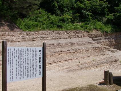 木の葉化石園 | ココシル那須塩原