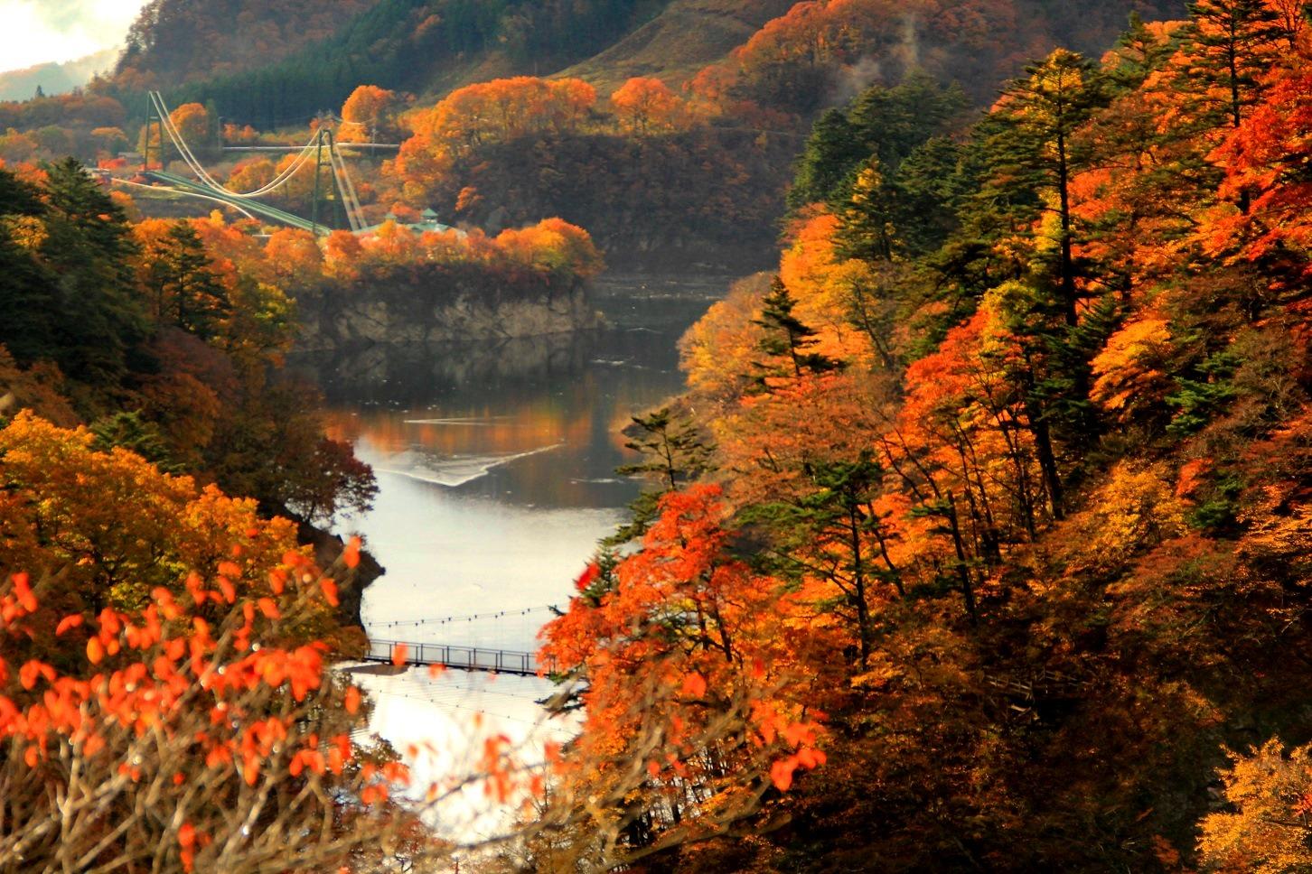 回顧_もみじ谷大吊橋の紅葉.JPG